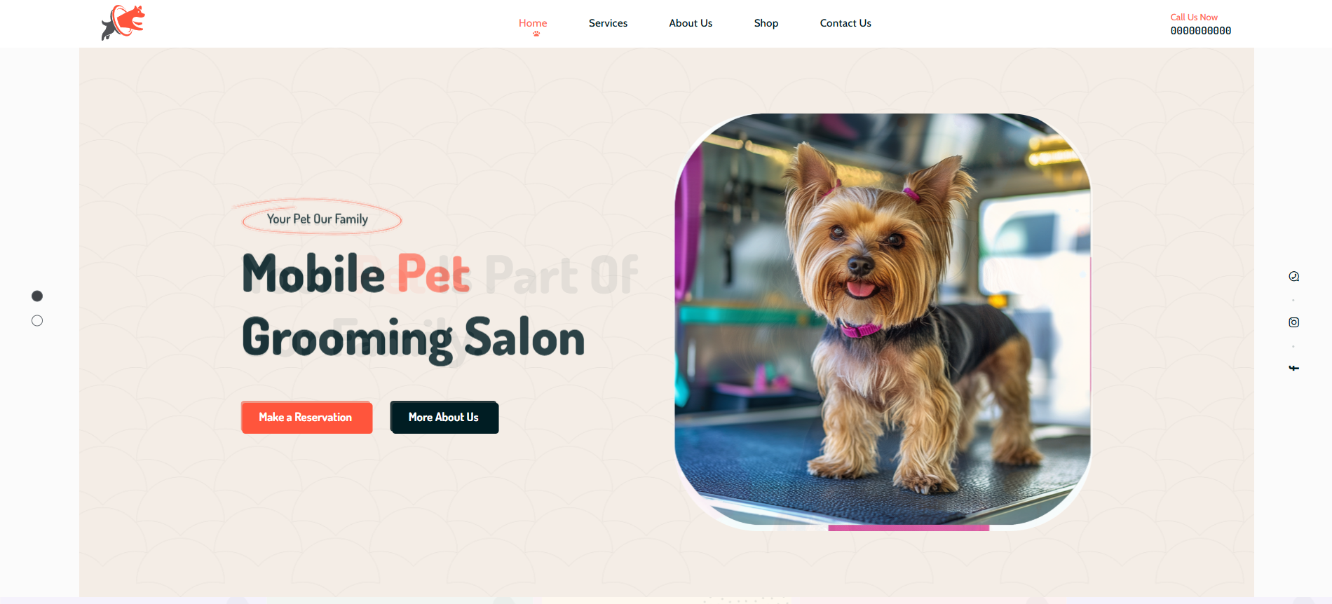 Mobile Grooming Business - Website design and website development